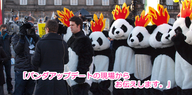 パンダアップデート対策