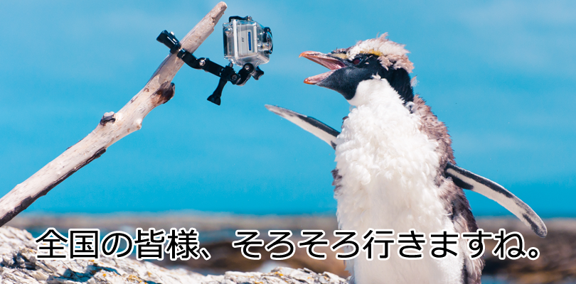 Googelペンギンアップデート3.0
