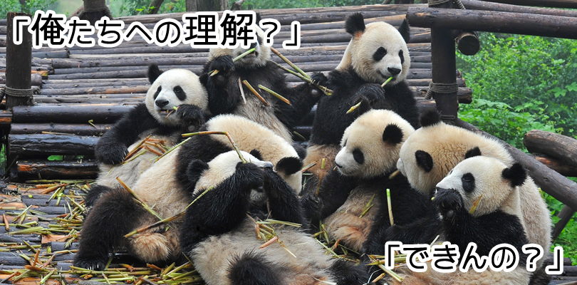 これからのパンダアップデート4.1を理解