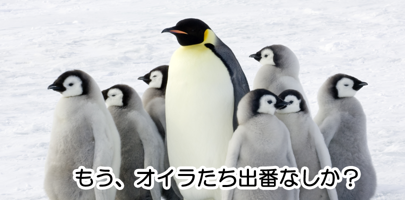 ペンギンアップデートは継続的に行われる